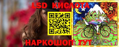 бошки Камышлов