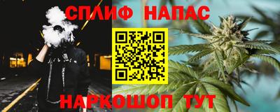 амф Кандалакша