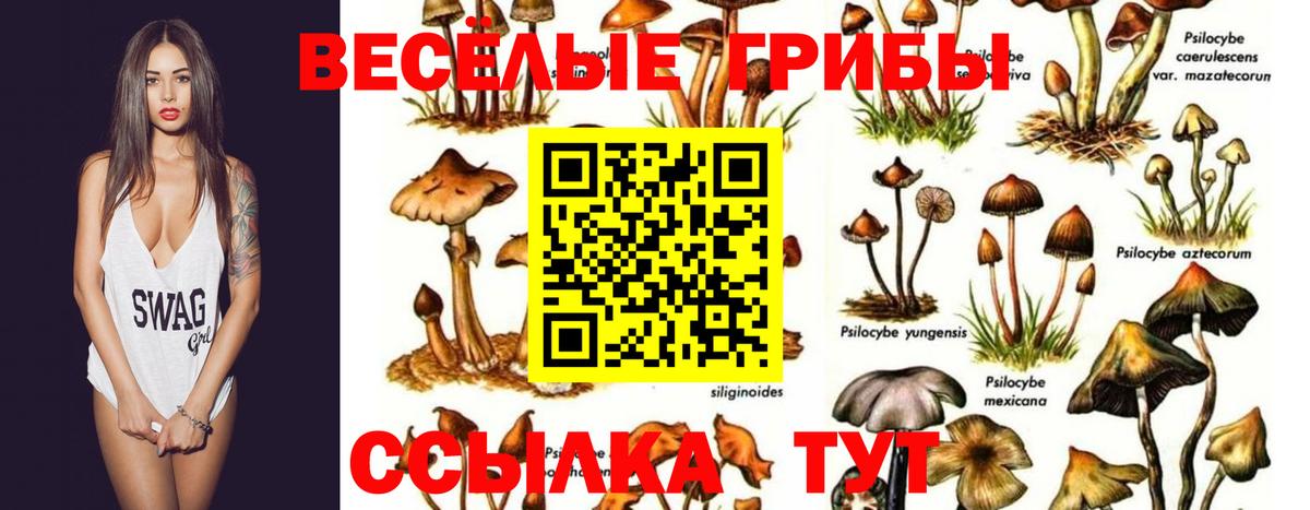 Галлюциногенные грибы Cubensis  продажа наркотиков  Карталы  Вход с VPN 
